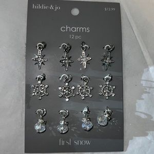 12 piece set of jewelry charms